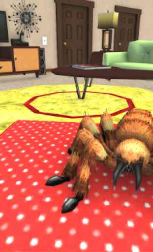 vita ragno casa tarantola animali domestici 3