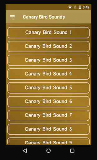 Canary Bird Sounds 1