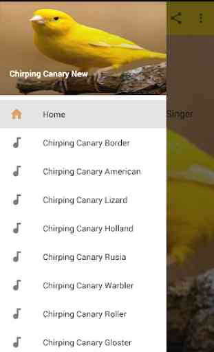 Chirping Canary Complete New 1