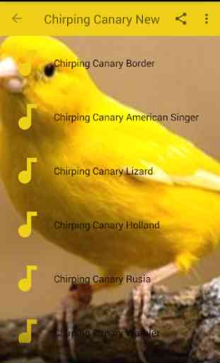Chirping Canary Complete New 2