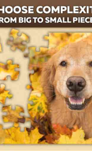 Cute Dog Puzzles 1