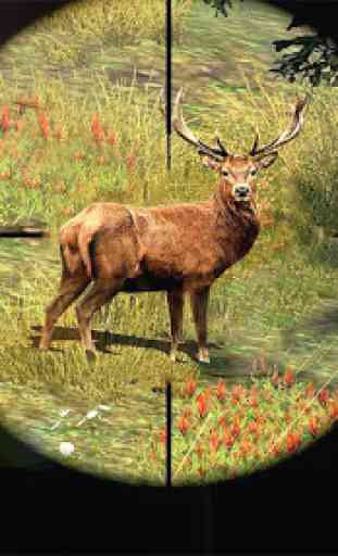 Deer Hunter Game - Free Hunting 3