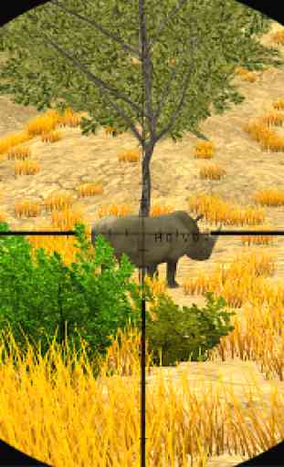Hunting by 4X4-Safari 1