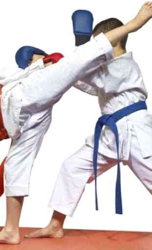 Impara le tecniche del Taekwondo 3