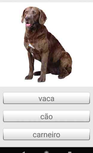 Impariamo le parole portoghesi con Smart-Teacher 4