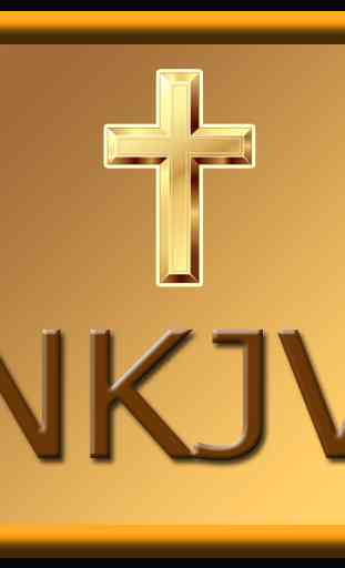 NKJV Audio Bible App gratis 2
