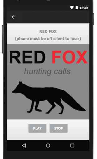 Red Fox Hunting Calls & Predator Calls & Distress 1