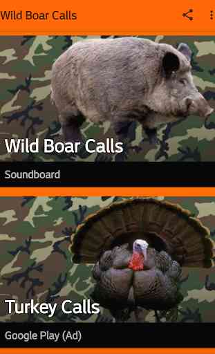 Wild Boar Hunting Calls 1