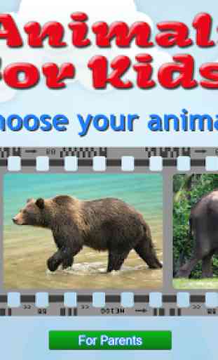 Animals for Kids, Planet Earth Animal Sounds 1