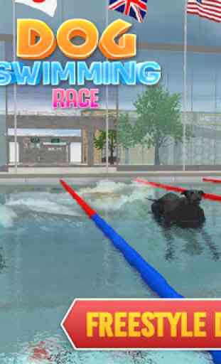 Corsa di nuoto per cani da compagnia 3