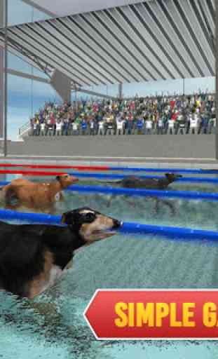 Corsa di nuoto per cani da compagnia 4