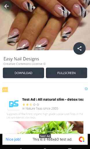 Easy Nail Designs 3