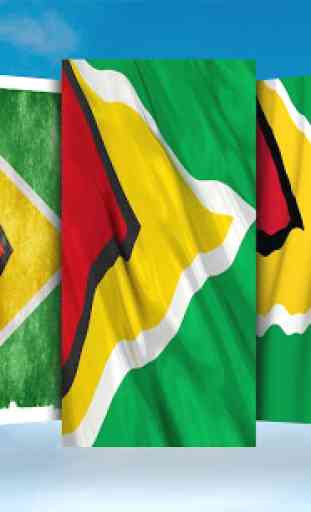 Guyana Flag Wallpaper 2