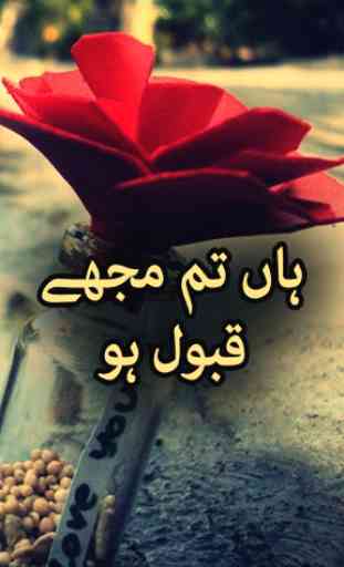 Haan Tum Mujhe Qubol Ho by Shazia - Urdu Novel 1