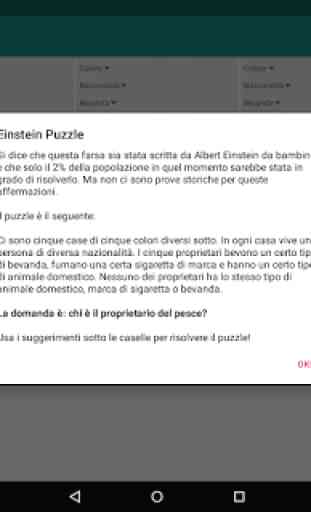 Puzzle di Einstein 4