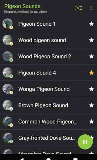 Appp.io - Pigeon Sounds 2