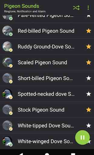 Appp.io - Pigeon Sounds 3