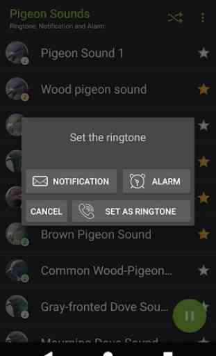 Appp.io - Pigeon Sounds 4