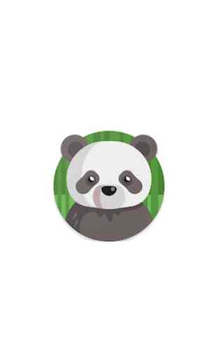 Black Panda VPN / Free Vip Proxy Network 2020 1