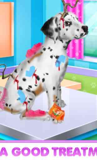 Dalmatian Puppy Day Care 3