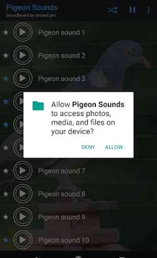 Pigeon Sounds ~ Sboard.pro 2