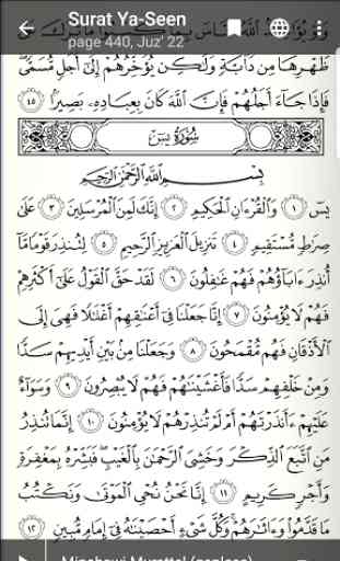 Pocket Quran 2