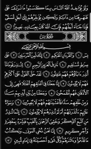 Pocket Quran 3