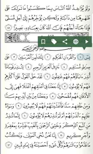 Pocket Quran 4