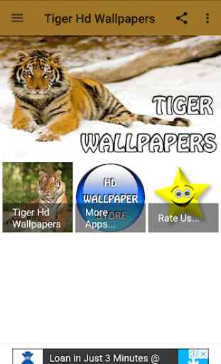 Tiger Hd Wallpapers 1