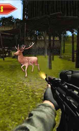 Animals Expert Hunting Sniper Safari 3D 1