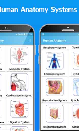 Atlas of Human Anatomy 2020 2