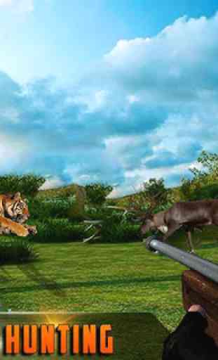 caccia esperto safari animale cacciatore 1