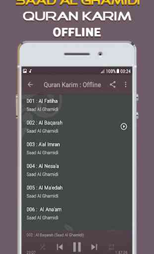 Full Quran Saad Al Ghamidi Offline 2