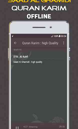 Full Quran Saad Al Ghamidi Offline 3