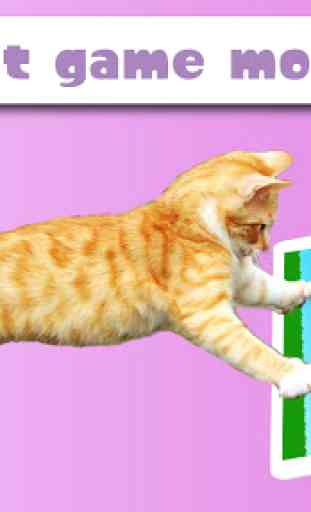 HappyCats un gioco per i Gatti 3