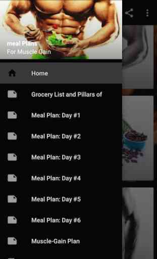 Meal Planner For Muscle Gain 1