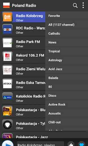 Radio Poland - AM FM Online 1