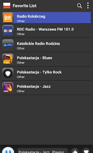 Radio Poland - AM FM Online 4