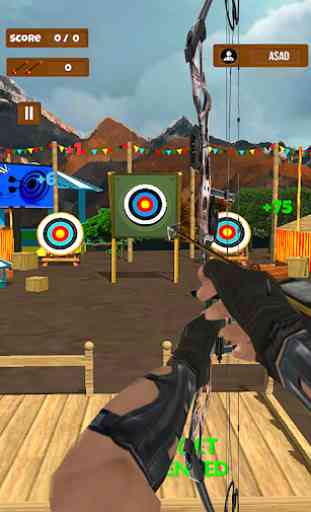 Real Archery Shooting Master 3d 4