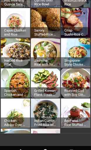 Rice Recipes 4