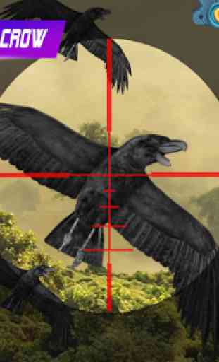 Birds Hunter:Jungle shooting games free 2