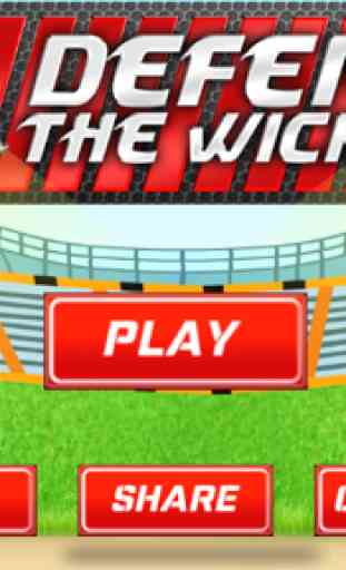 Cricket - Defend the Wicket 2