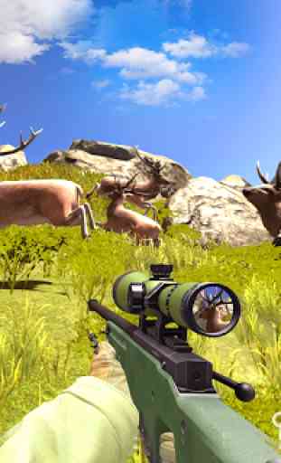 Deer Hunting 2019 - Sniper Shooting Games 1