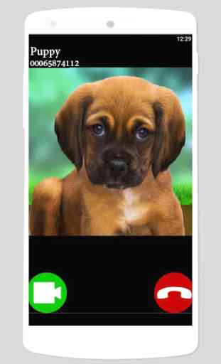 fake call video puppy game 1