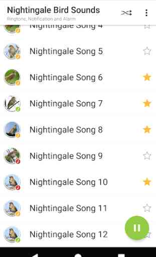 Appp.io - Nightingale canto degli uccelli 3