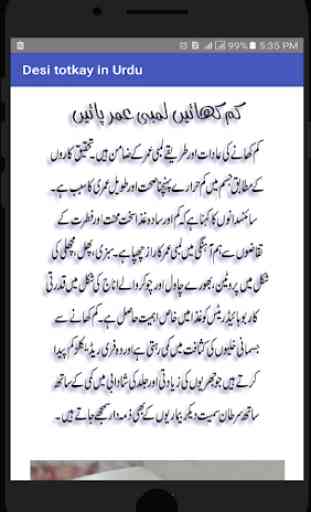 Desi Totkay in Urdu 3