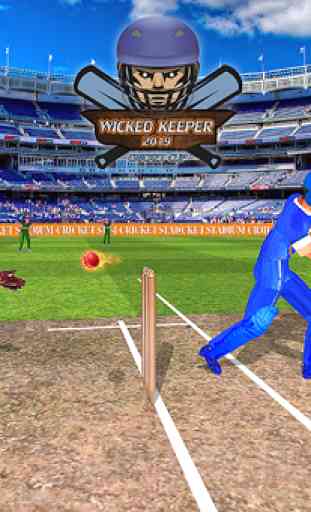 Wicket Keeper 2019: Cricket Cup 4