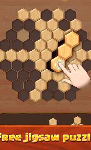 Woody Puzzle:Hexagon 4