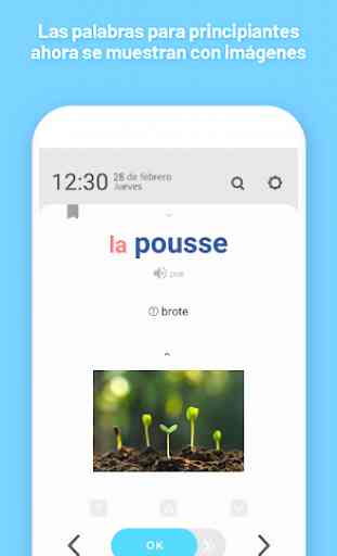 WordBit Francés (para hispanohablantes) 4