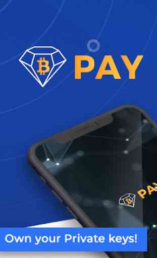 BCD Pay 1